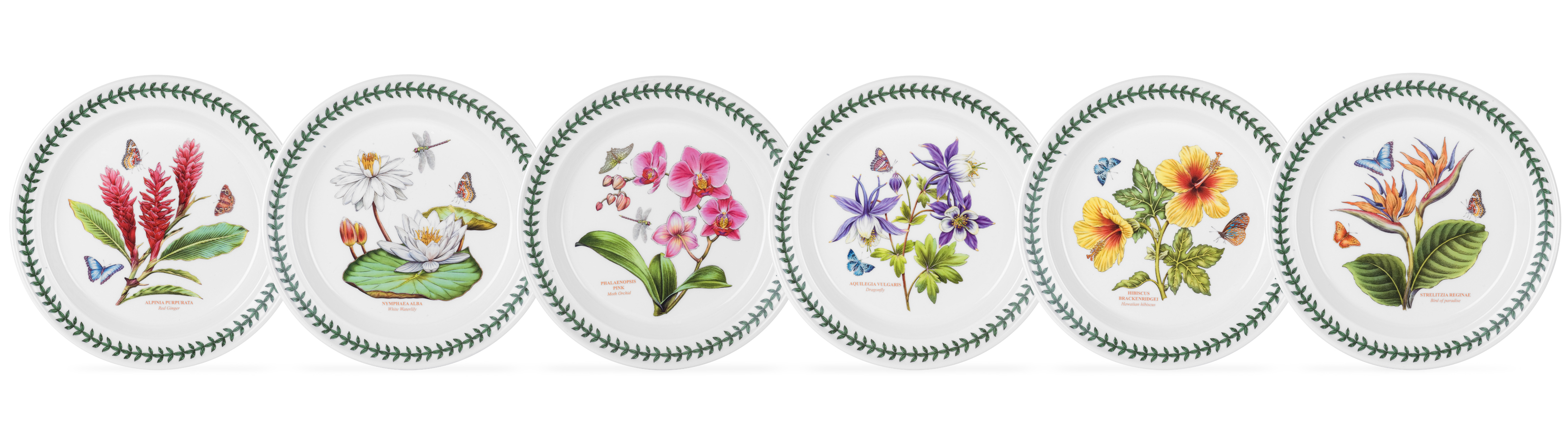 Exotic Botanic Garden 8.5 Inch Salad Plate Set of 6 (Assorted Motifs) image number null